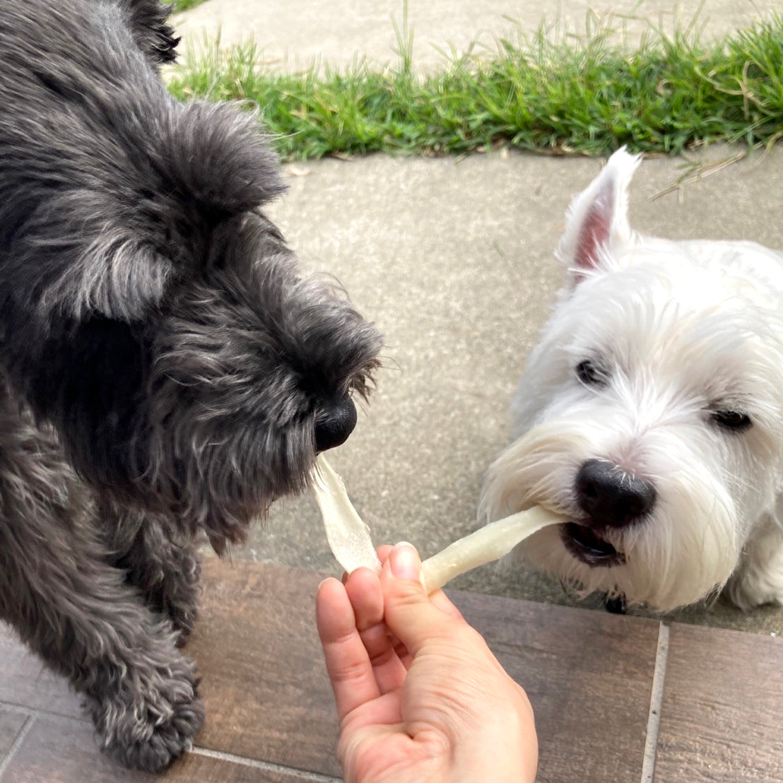 ちゅんちゅん⭐︎ ラム500g１袋ビーフホキ500g１袋チキン500g１袋 K9 Natural フリーズドライ ホキ＆ビーフ 500g - CoCo TAIL