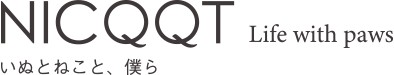 NICQQT