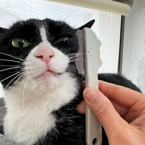 BITE ME 犬・猫用フェイスコーム