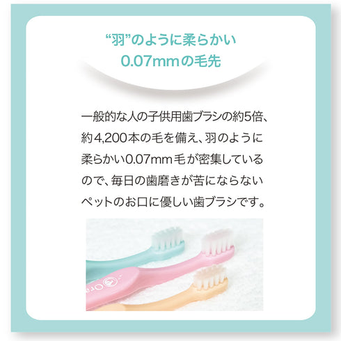 OraBio オーラバイオブラシ 中毛タイプ