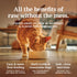 Feline Natural フリーズドライお試しサイズ 猫用