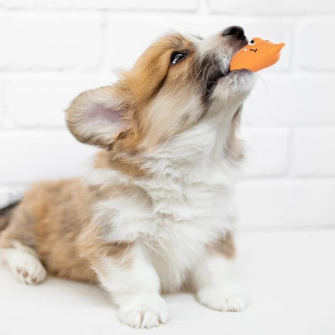 犬のおもちゃ ラテックストイ プーピーズ