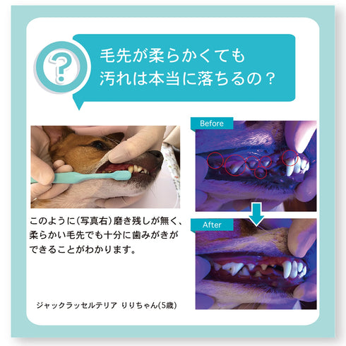 OraBio オーラバイオブラシ 中毛タイプ
