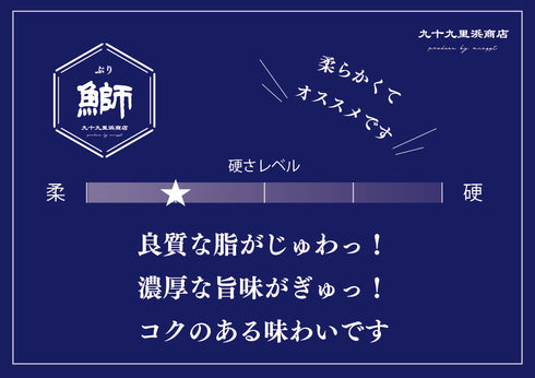 九十九里浜商店 おさかなジャーキー 鰤(ブリ)