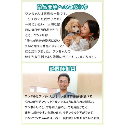 Dr.WANDEL ドクターワンデルプラス 犬用デンタルジェル
