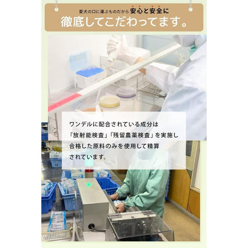 Dr.WANDEL ドクターワンデルプラス 犬用デンタルジェル