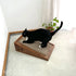 猫と木製の傾斜型爪とぎトレー