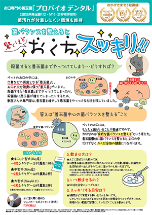 プロバイオデンタルパウダー 口臭・歯垢のケア