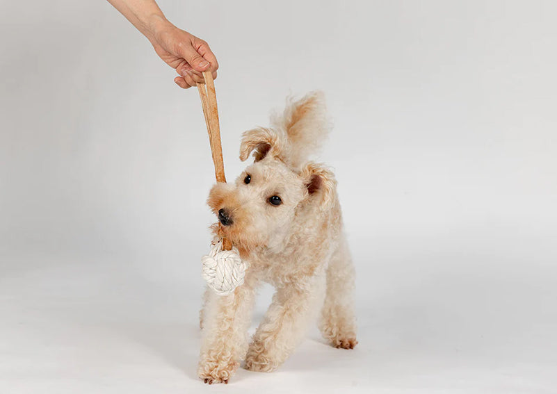 レザー＆コットン・トイ／ボール