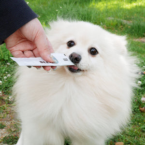 wancom ミートミートジュレ 犬用