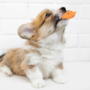 犬のおもちゃ ラテックストイ プーピーズ