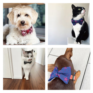 NICQQT 犬と猫の蝶ネクタイ