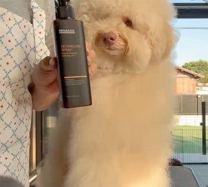 RENADOG デタングリングスプレー240ml