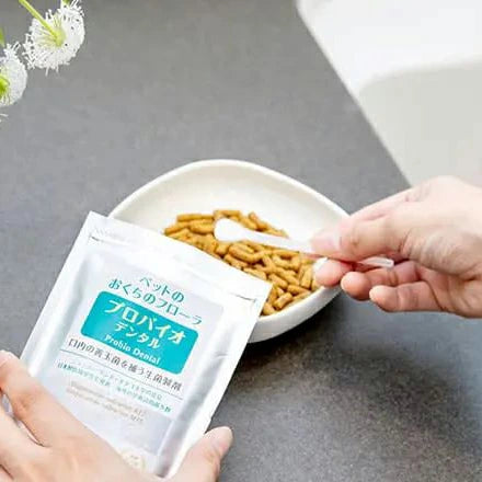 口臭・歯垢のケアに【プロバイオデンタルパウダー】