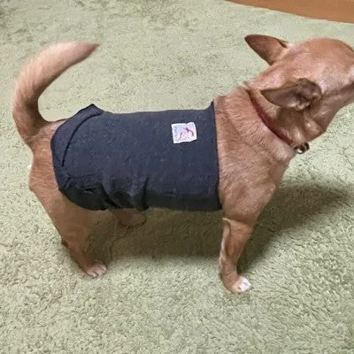 ペット用腹巻き テラペット