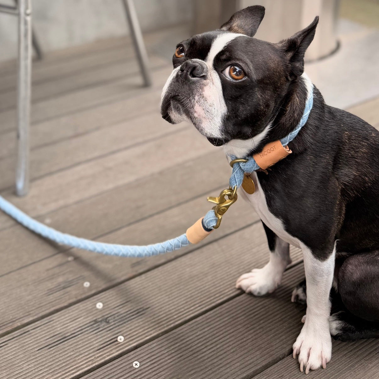デニムハーフチョークカラー