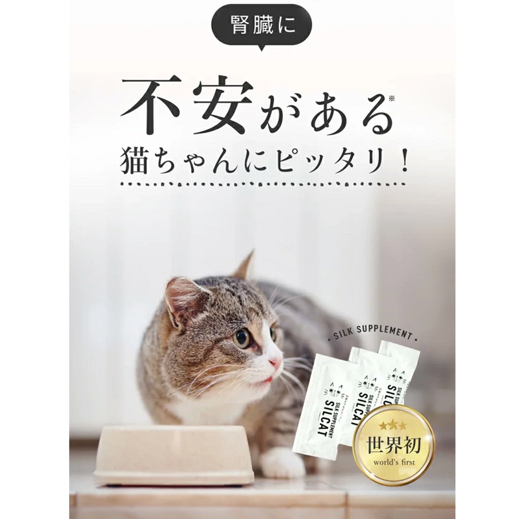 SILCAT　シルキャット