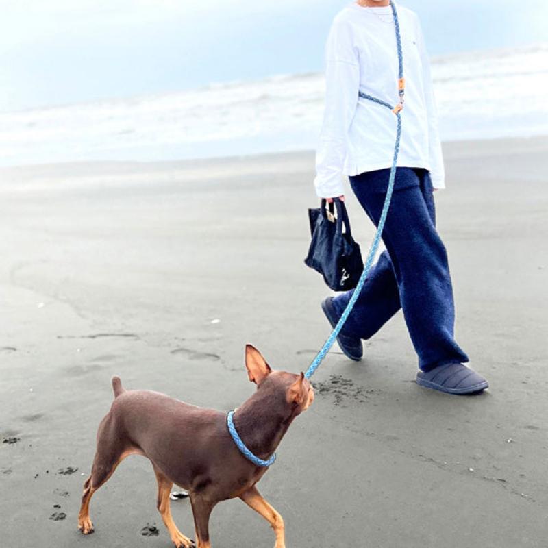 デニムショルダーリードと犬と海