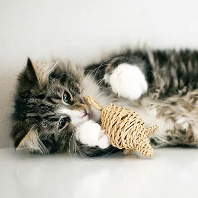 猫のおもちゃ　ラタンマウス