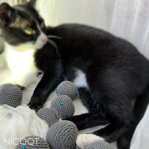 NICQQT にゃんたまじゃくし 3個セット