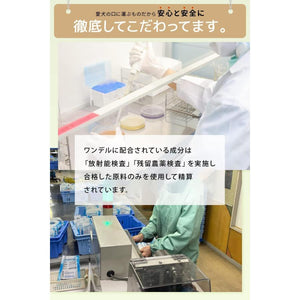 Dr.WANDEL ドクターワンデルプラス　犬用デンタルジェル